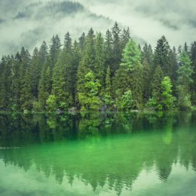 The Website Is No Longer the Marketing Hub: How AI Is Reshaping Customer Journeys