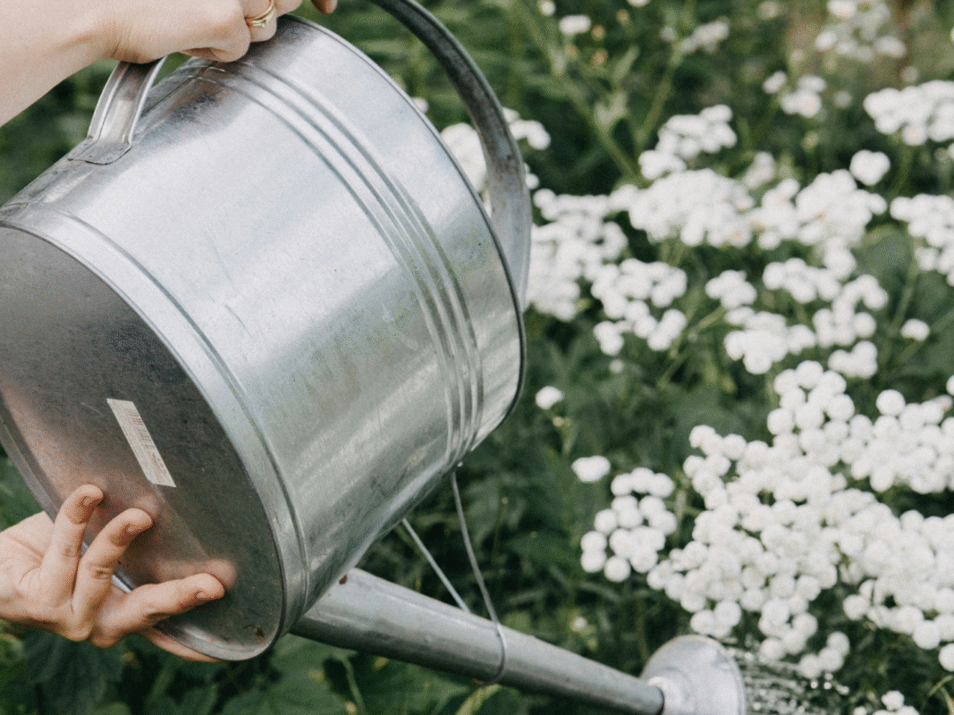 How to Boost Your Engagement on Instagram in 2025: 11 Tried-and-Tested Tips