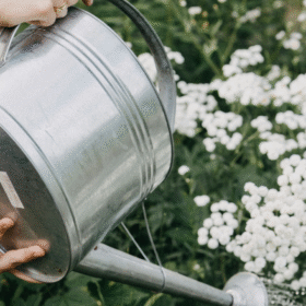 How to Boost Your Engagement on Instagram in 2025: 11 Tried-and-Tested Tips