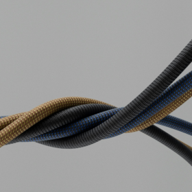 Trust, Storytelling, and the Future of Brands