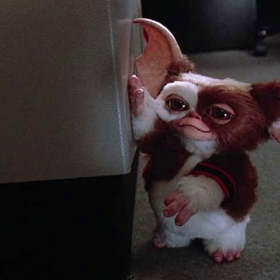 Steven Spielberg and Chris Columbus to Reunite for Gremlins 3