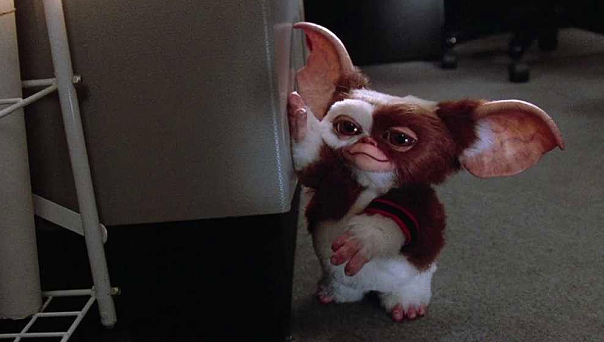 Steven Spielberg and Chris Columbus to Reunite for Gremlins 3