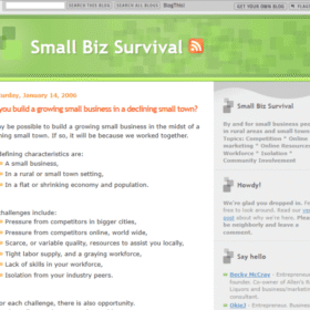 Twenty Years of Small Biz Survival
