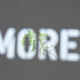 The More Mindset: Rewiring Your Thinking for Purpose, Confidence, and Results